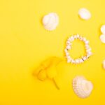 Reddybook Review: How This Digital Platform Enhances Learning with 11xplay Integration